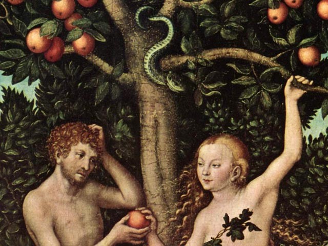 forbiddenfruit 6ab49