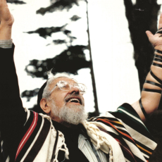 Jewish Countercultures: Remaking American Judaism, 1967-1990